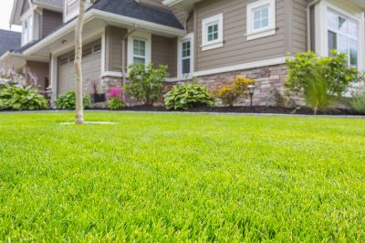 Keep Your Lawn and Landscaping Healthy